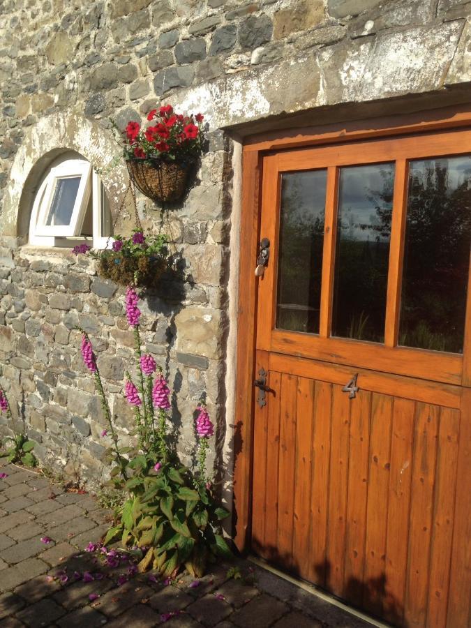 Bed & Breakfast Henllys Estate Llandovery